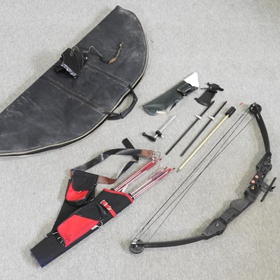 Lot 245 - A Compound bow and arrow set