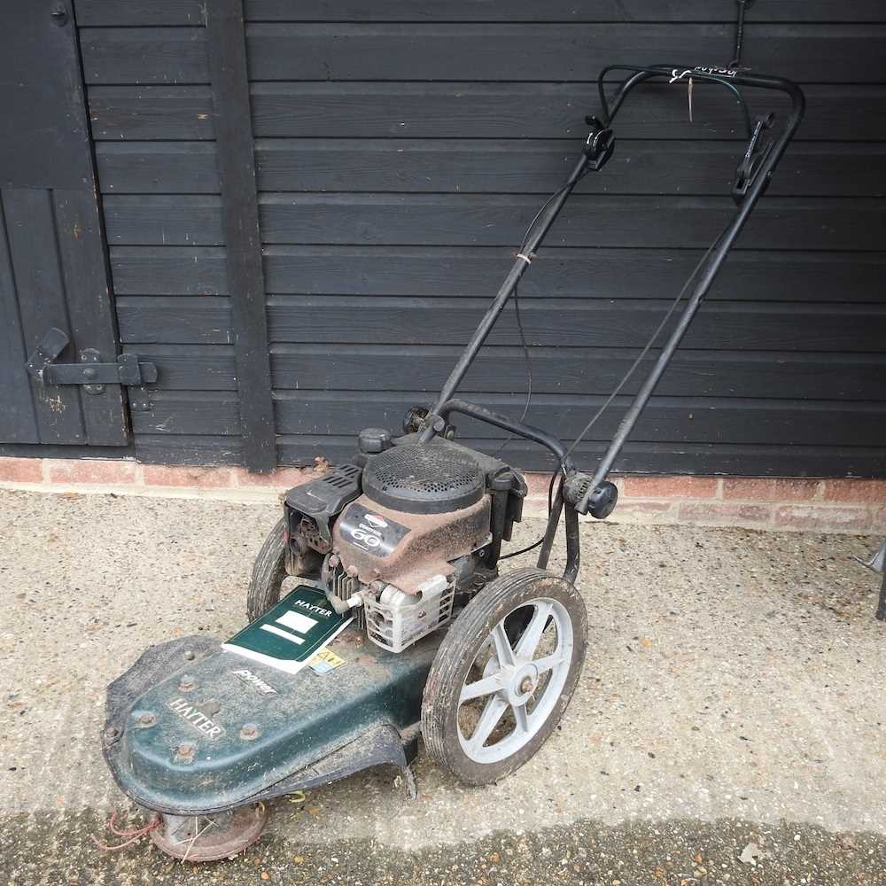 Lot 331 - A Hayter Powertrim