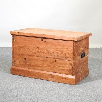 Lot 359 - A pine trunk