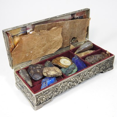 Lot 274 - A collection of fossils