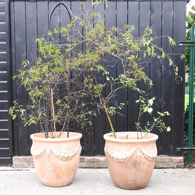 Lot 422 - A pair of garden planters