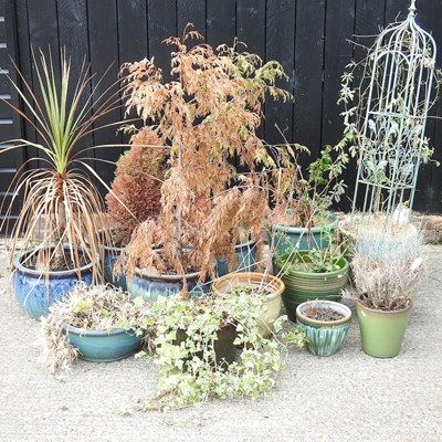 Lot 85 - A collection of garden pots