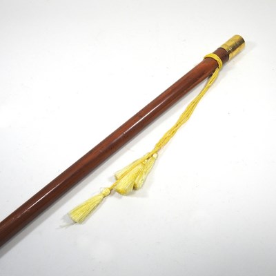 Lot 26 - A walking cane