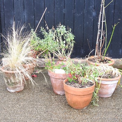 Lot 520 - A collection of pots