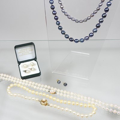 Lot 501 - Various pearl jewellery