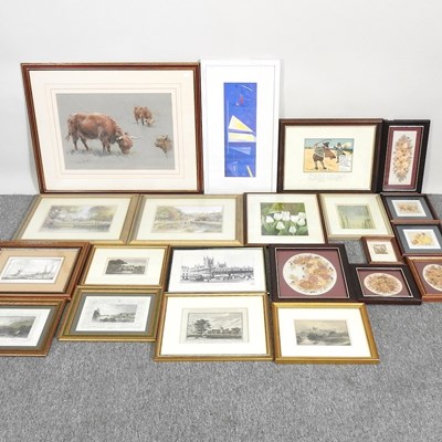 Lot 217 - Various pictures