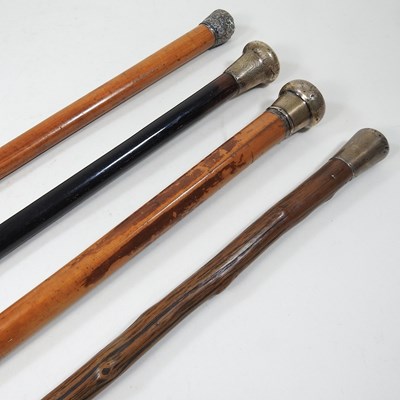 Lot 273 - Various walking sticks