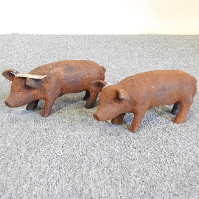 Lot 252 - Two pigs