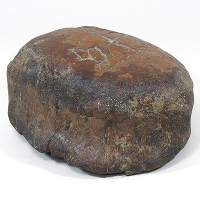 Lot 206 - A fossil