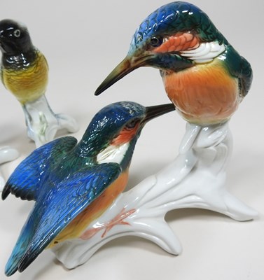 Lot 3 - Karl Ens birds