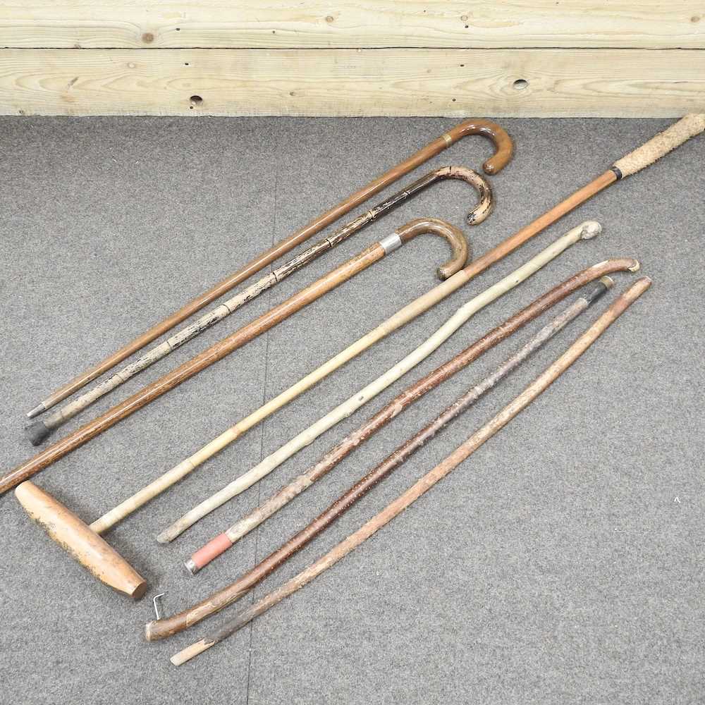 Lot 29 - Various walking sticks