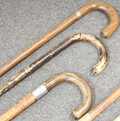 Lot 29 - Various walking sticks