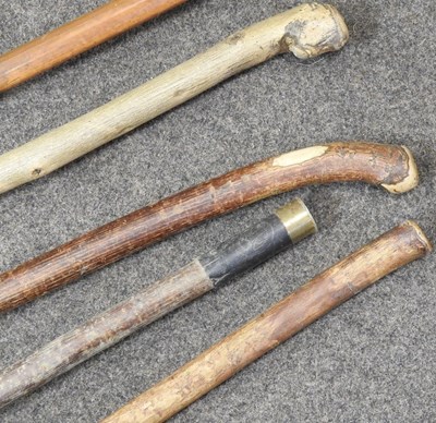 Lot 29 - Various walking sticks