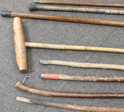 Lot 29 - Various walking sticks