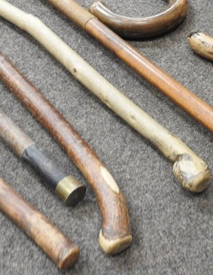 Lot 29 - Various walking sticks