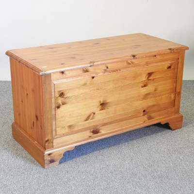 Lot 169 - A pine box