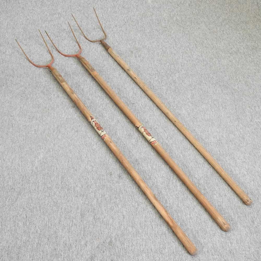 Lot 348 - Three pitchforks