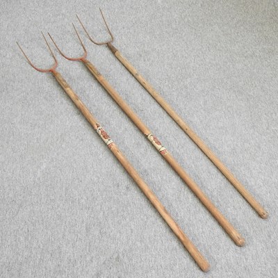 Lot 348 - Three pitchforks