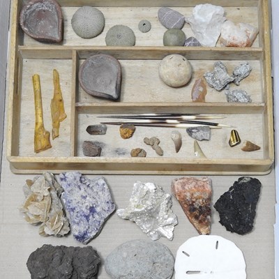 Lot 98 - Fossils and stones