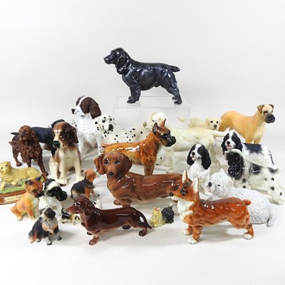 Lot 720 - Various pottery dogs