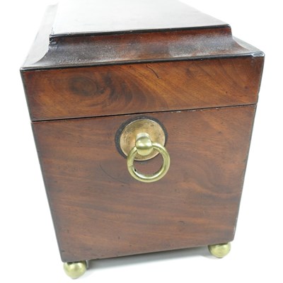 Lot 196 - A 19th century tea caddy