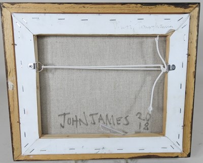 Lot 11 - John James, b1947