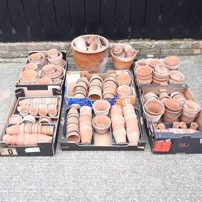 Lot 548 - A collection of terracotta pots