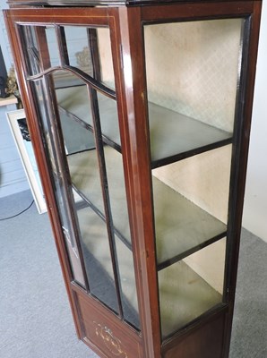 Lot 249 - An Edwardian display cabinet