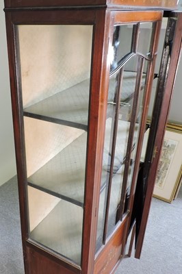 Lot 249 - An Edwardian display cabinet