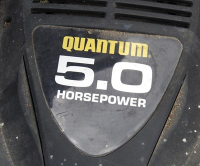 Lot 718 - A Quantum lawn hoover