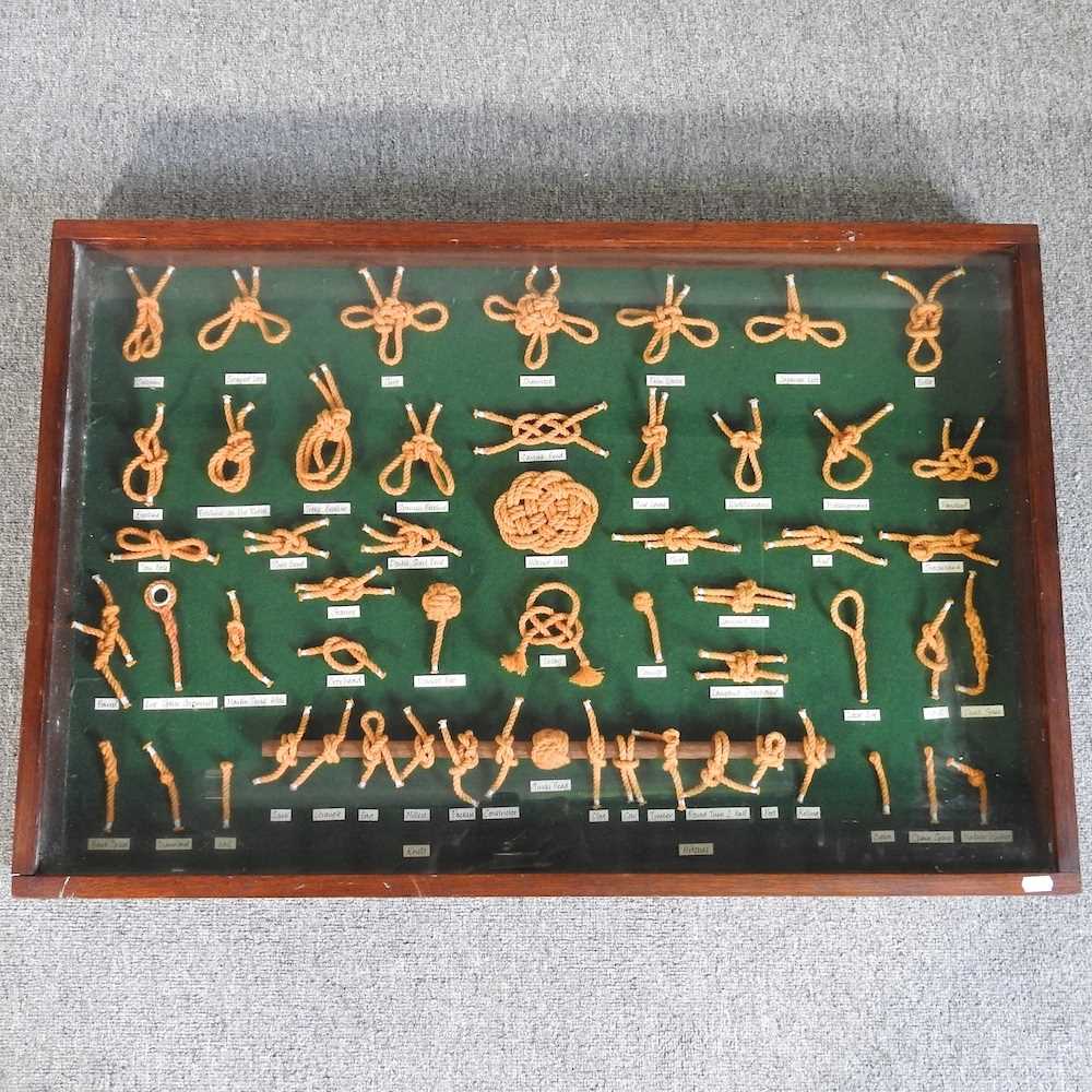 Lot 901 - A display case of knots