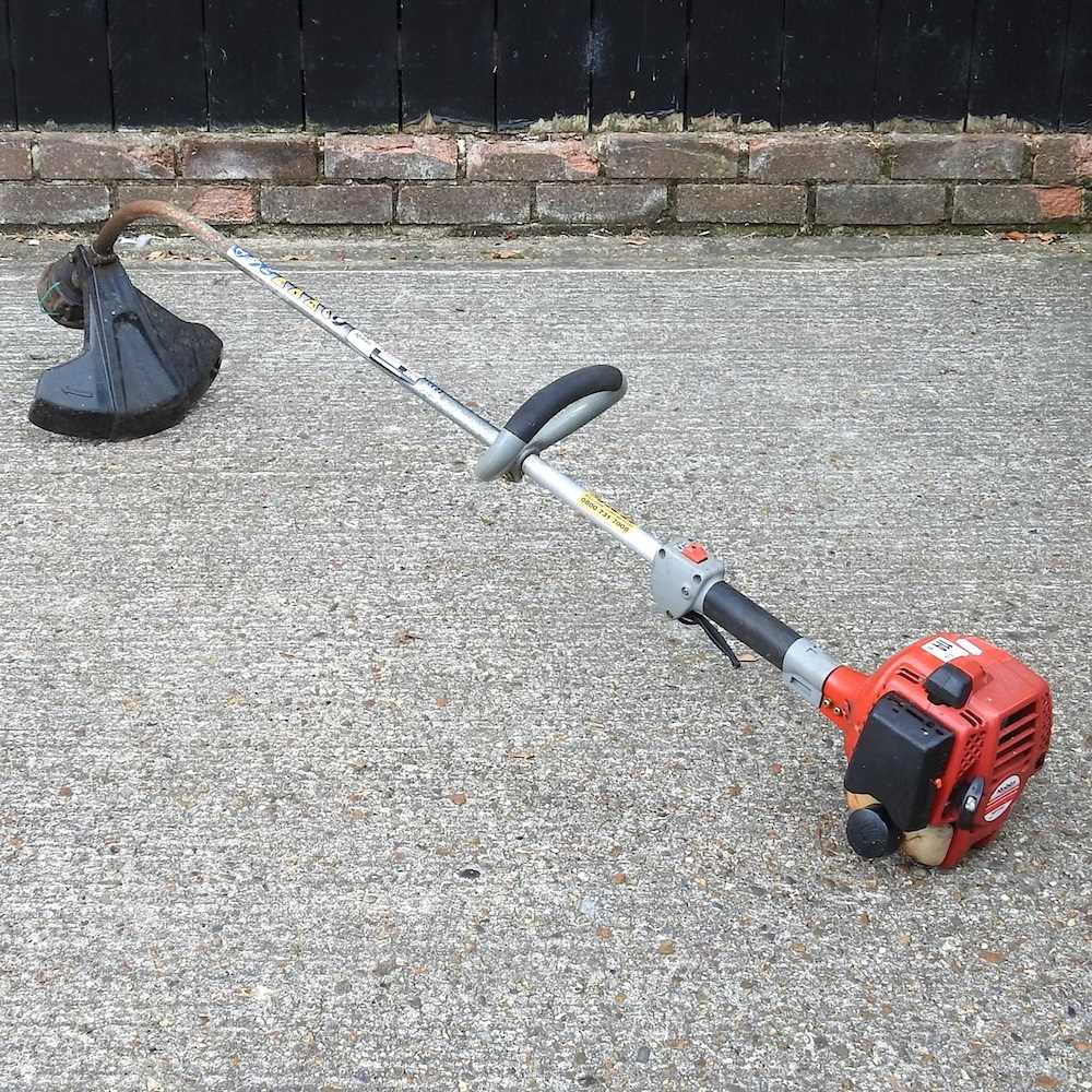 Lot 599 A Robin petrol strimmer