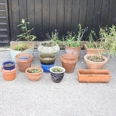 Lot 705 - A collection of garden pots