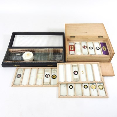 Lot 261 - Two boxes of microscope slides