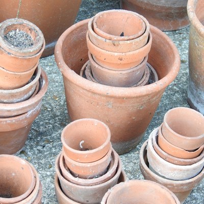 Lot 550 - Various terracotta pots