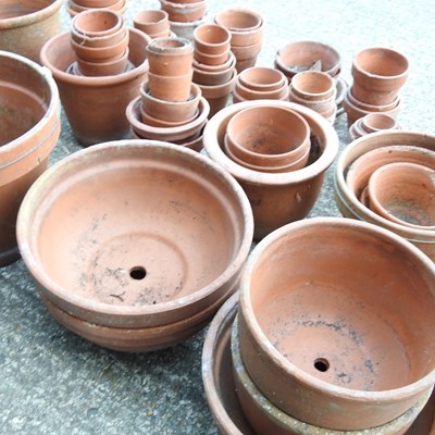 Lot 550 - Various terracotta pots