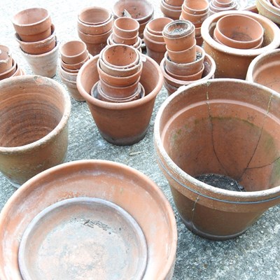 Lot 550 - Various terracotta pots