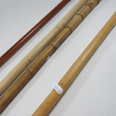 Lot 460 - A bamboo walking cane