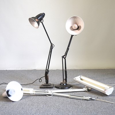 Lot 514 - A collection of angle poise lamps