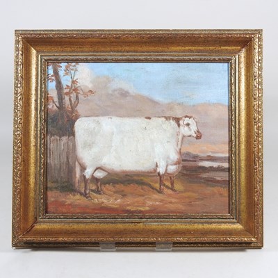 Lot 249 - Continental school, prize cow