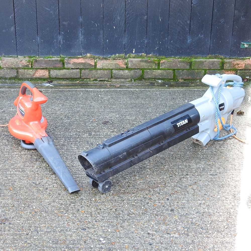 Lot 731 - A Flymo electric garden leaf blower/vacuum,...