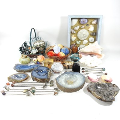 Lot 529 - A collection of shells, in a glazed display...