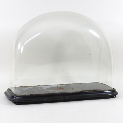 Lot 454 - A 19th century glass dome, on an ebonised...