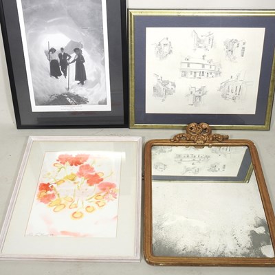 Lot 463 - Linda Fay Powell, b1947, Geraniums, signed...
