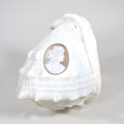 Lot 213 - A conch shell, carved to the centre with a...