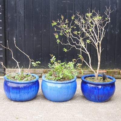 Lot 827 - A pair of blue glazed garden pots, together...