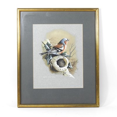 Lot 271 - Terance James Bond, b1946, a finch perched on...