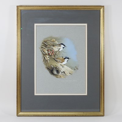 Lot 409 - Terance James Bond, b1946, two sparrows...