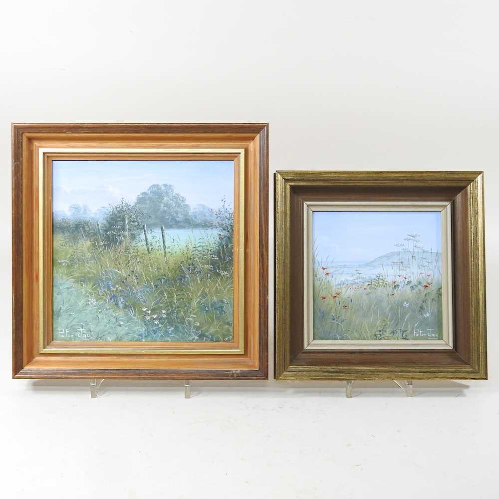 Lot 365 - Peter Jay, contemporary, landscape with...