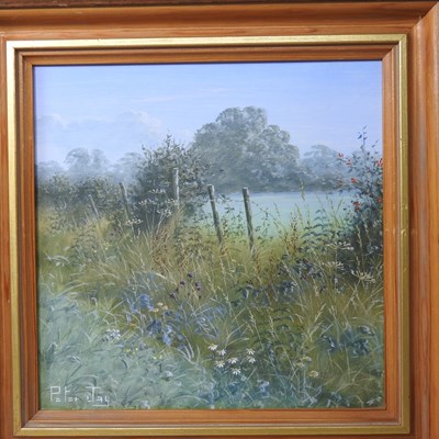 Lot 365 - Peter Jay, contemporary, landscape with...